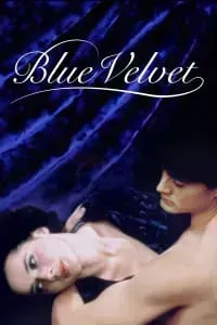 Download Blue Velvet (1986) Dual Audio {Hindi-English} Esubs BluRay 480p [399MB] || 720p [1.0GB] || 1080p [2.4GB]