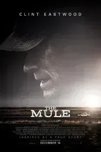 Download The Mule (2018) {English With Subtitles} BluRay 480p [500MB] || 720p [900MB] || 1080p [1.9GB]