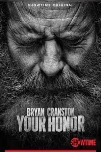 Download Your Honor (Season 1 – 2) Dual Audio {Hindi-English} WeB-DL 480p [150MB] || 720p [300MB] || 1080p [1GB]